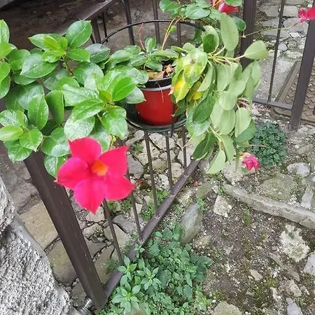 La Corte Della Carla - Cozy In The Old Court Lierna