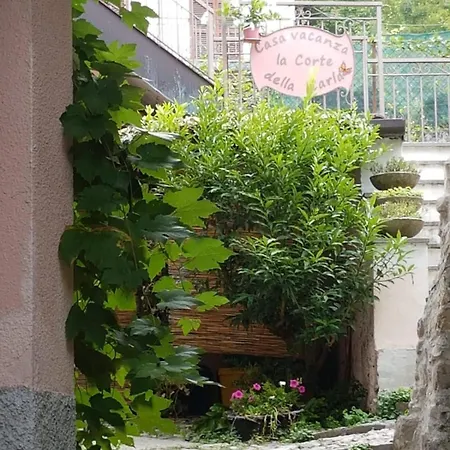 Casa vacanze La Corte Della Carla - Cozy In The Old Court